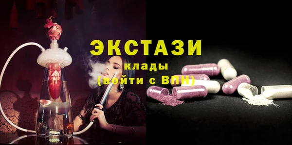 СК Алексин