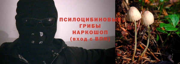 круглые Алексеевка