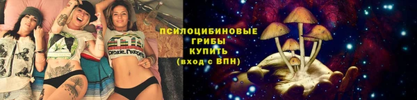 круглые Алексеевка