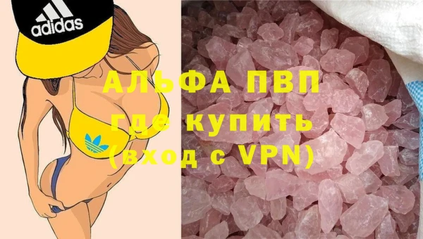 СК Алексин