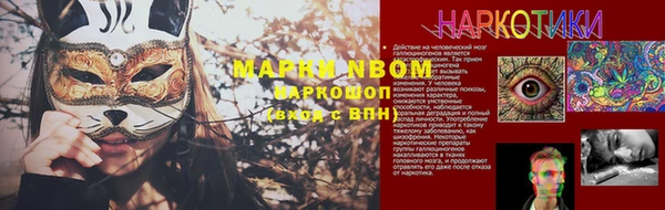 СК Алексин